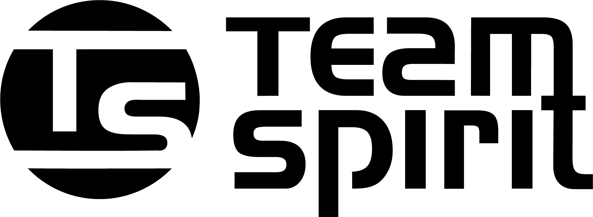 Team Spirit logo